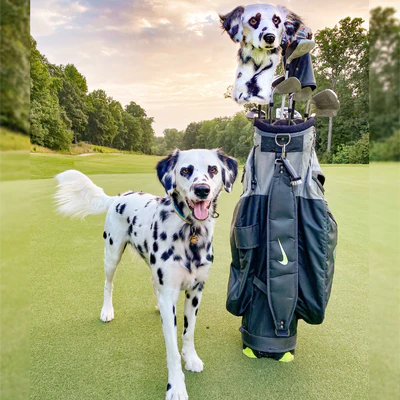 Golf Headcovers